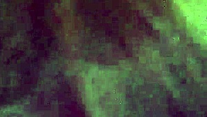 Intense Blowjob From Stunning Shemale In Steamy Encounter