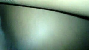 Video File From March 11 2015 At 1:46 AM