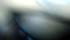 Video File From March 11 2015 At 1:46 AM