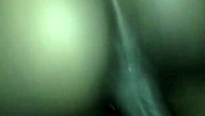 Video File From March 11 2015 At 1:46 AM