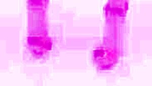 Oh Wow, This Hot Waitress Girl Tries Porn After Charity Work – Intense Fucking and Orgasm!