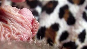 Huge clit orgasm in closeup with oral action