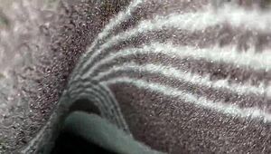 I sneaked in and fucked my stepsis's juicy pussy at night