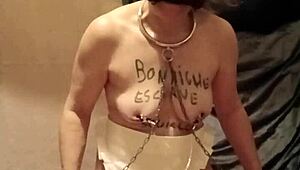 maid slut flashes humiliates in tiny apron outfit