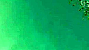 i brought neighbor flowers now she's grinding pussy on my face til she flies off cumming 🌸💦👅