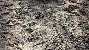 Stranger Sucks My Huge Cock on Beach!