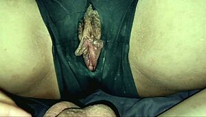 on all fours so hot big dick fucks my big ass