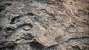 Stranger Sucks My Huge Cock on Beach!