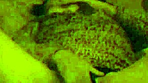 did that single big dick guy bend you over at the party and pound your latina wife ass doggystyle on holiday?