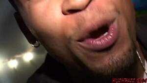 amanda bobs cocks at the wild pzy party bash