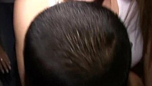 amanda bobs cocks at the wild pzy party bash