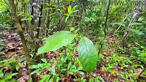 Schlanke thai schlampe doggy im wald creampie vor pilzsuche