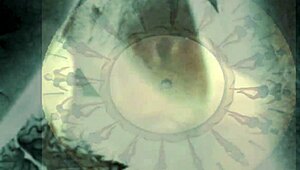 Patos BBC pošlje Bless Gold v nebesa s picenjem pičke