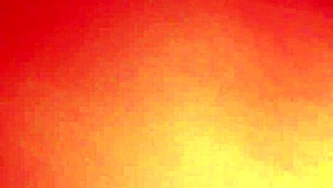 Homemade Couple's Close-Up Shaved Anal Rimjob and Pussy Fuck