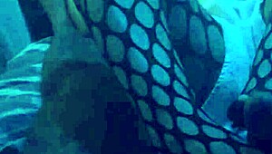 sexy nylon footjob with leggings tease