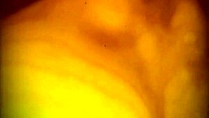 que rico me dan verga y me chupan la panocha 😍 me encanta que me mamen el culo 👅💦