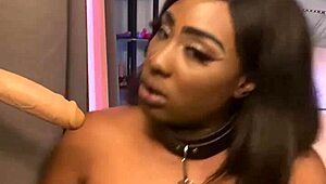 fuck yes submissive ebony lexo butterfly sucks spits on that huge black cock!