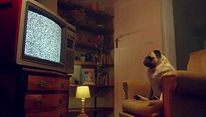 Babe Katrina Moreno's big tits cum covered after hard fuck 😍💦🍈