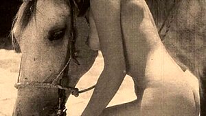 دارك لانترن إنترتينمنت تقدم مجموعة ريترو كلاسيكي فينتاج شعر طبيعي