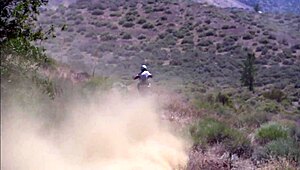 lauren phoenix heads out to a clearing for some outdoor fun