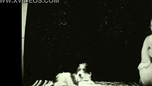 i fall for dark lantern's beauty and beast