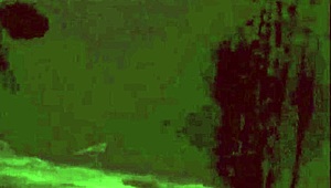 i fall for dark lantern's beauty and beast