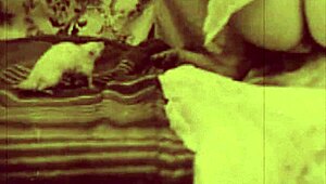 i fall for dark lantern's beauty and beast