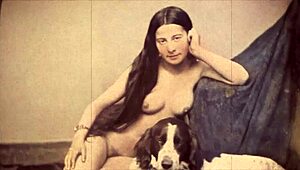 i fall for dark lantern's beauty and beast