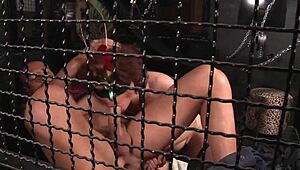 big tits milf caged bent over takes monster cock doggystyle cumshot