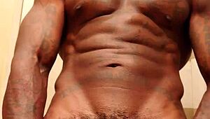 hey hallelujah johnson strokes her fave big star online