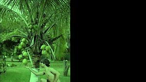 outdoor with this huge titted colombian milf slurping balls humiliating her big ass down...