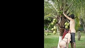 outdoor with this huge titted colombian milf slurping balls humiliating her big ass down...