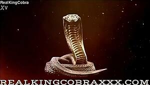 Super sexy vixen Sweet Vickie begs daddy to fuck her slutty holes now.