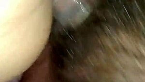 mami spreads wide for young studs monster cock deep inside