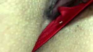 Peek This Smooth Shaved Brazilian Pussy?