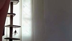 Firm Tits Brunette Moans Hard In Big Tits POV