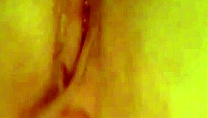 Ever wonder how many ways these pussies get teased in solo play comp?