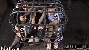 check out this intense sadomasochism with her bound tight in ropes