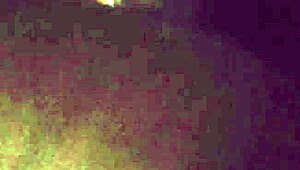 Infiel me da nalgas mientras marido envía mensajes