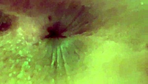 Bărbăteasă musculoasă vibrează clitoris pufos până la solo suculent.