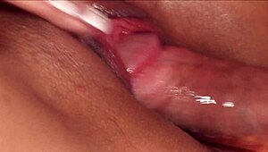 Erika Vuitton craves every inch of hard dick.