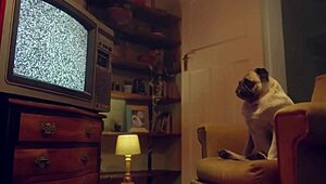 benefit monkey recording interrupted by irresistible curvy indian tits urge