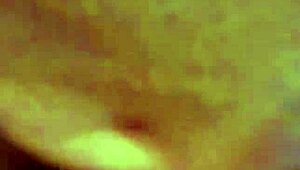 i put together a breif close-up compilation