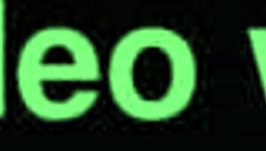 These lesbians fuck each other rough and wild