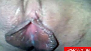 webcam babe delivers hot blowjob then anal fun