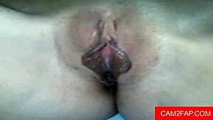 webcam babe delivers hot blowjob then anal fun