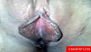 webcam babe delivers hot blowjob then anal fun