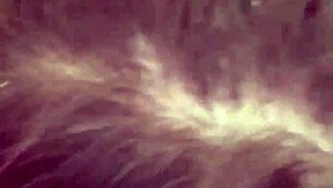 whoa sandra's candid amateur sex tape hidden cam first time fuck 😲📹