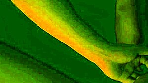 hey bbw, love when you worship my feet and lick my pussy nice and slow