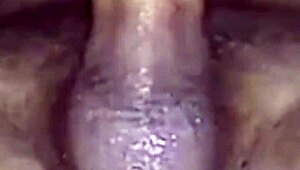watch this sexy asian wife ride huge cock from pussy to big ass anal toy play